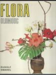 Flora olomouc - náhled