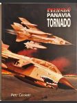 Panavia Tornado - náhled