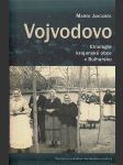 Vojvodovo - náhled