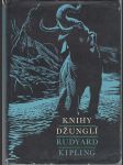 Knihy džunglí - náhled