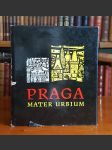 Praga Mater Urbium (veľký formát) - náhled