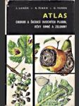 Atlas chorob a škůdců ovocných plodin, révy vinné a zeleniny - náhled