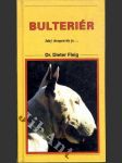 Bulteriér - náhled