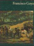 Francisco Goya - náhled