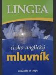 Česko-anglický mluvník - náhled