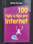 100 fíglů a tipů pro Internet - náhled