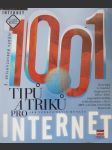 1001 tipů a triků pro internet - náhled