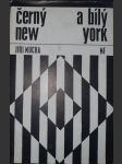 Černý a bílý New York - náhled