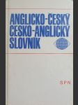 Anglicko-český a česko-anglický slovník - náhled