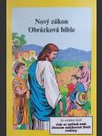 Nový zákon: Obrázková bible (komiks) - náhled