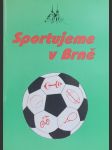 Sportujeme v Brně - náhled