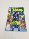 X-Men - Sad nad Magneto 5/93 - 30 Lat X-Men 1963-1993 - náhled