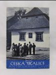Česká Skalice - náhled