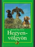 Hegyen- vőlgyőn (veľký formát) - náhled