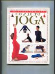 Co je to jóga - systematický průvodce po Iyengarově metodě jógy pro relaxaci, zdraví a duševní a tělesnou pohodu - náhled