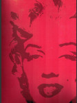 Andy Warhol - I never read a book I just look at pictures - náhled