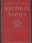 Kvetoucí nopály - náhled