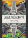 Celestinské proroctví (The Celestine Prophecy. An Experimental Guide) - náhled