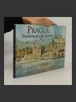 Prague: promenades du peintre - náhled