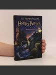 Harry Potter a Kámen mudrců - náhled