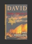David král Izraele - náhled
