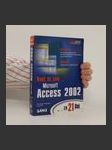 Nauč se sám Microsoft Access 2002 za 21 dní - náhled