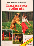 Zaměstnejme svého psa - náhled