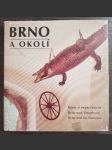 Brno a okolí - náhled