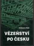 Vězeňství po česku - náhled