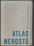 Atlas nerostů - náhled