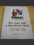 Dva roky bojů a organizační práce. Československá armáda v letech 1918 - 1920 - náhled