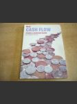 Nový Cash Flow (Přehled o peněžních tocích) - náhled