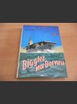 Biggles na Borneu - příběh Bigglesovy peruti za druhé světové války - náhled
