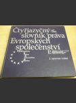 Čtyřjazyčný slovník práva Evropských společenství - náhled