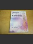 Der Aufstieg der Kundalini. Ein Kundalini-Ratgeber für die Praxis. Vzestup Kundalini. Kundalini průvodce pro praxi - náhled