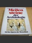 Meilen steine der Archaologie. Auf den Spuren der Menschheit - náhled