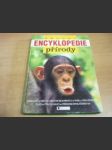 Školní encyklopedie přírody. Rostliny, hmyz a ostatní bezobratlí, ryby, obojživelníci, plazi, ptáci a savci, přírodní společenstva - náhled