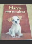 Harry, štěně bez domova - náhled