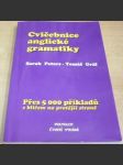 Cvičebnice anglické gramatiky - náhled