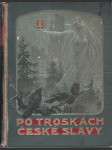 Po troskách české slávy I. - Hrady, zámky a tvrze české, jich založení, dějiny, pověsti a poklady umělecké - náhled