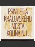 Privilegia královského města Kolína nad Labem (Kolín nad Labem) - náhled