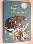Turul, král pralesa - pro čtenáře od 9 let - náhled