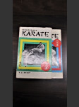 Základy karate + Sebeobrana karate - náhled