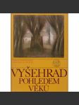 Vyšehrad pohledem věků  [ historie a vývoj Vyšehradu ,Praha ] HOL - náhled