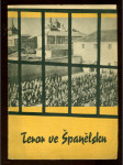 Teror ve Španělsku - náhled