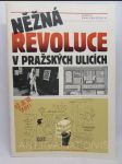 Něžná revoluce v pražských ulicích - náhled