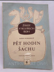 Pět hodin šachu - náhled