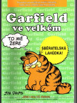 Garfield ve velkém - náhled