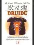 Léčivá síla druidů - náhled