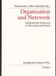 Organisation und Netzwerk - náhled